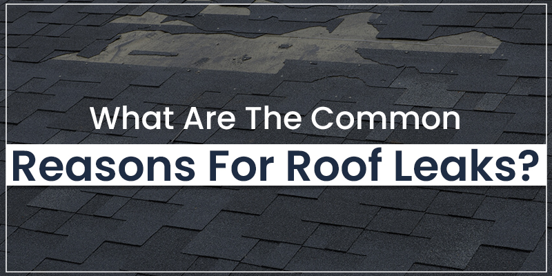 What Are The Common Reasons For Roof Leaks?